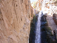 Resize of IMG 3615